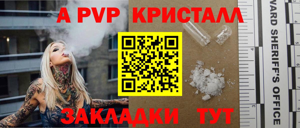 A PVP СК Кингисепп