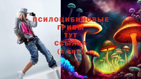 бошки Абаза