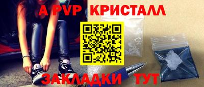стафф Кингисепп