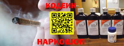 стафф Кингисепп