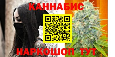 стафф Кингисепп