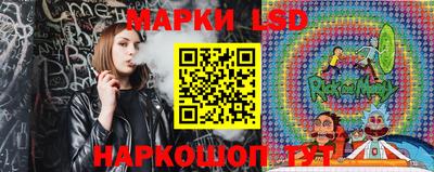 стафф Кингисепп