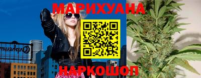 стафф Кингисепп