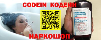 стафф Кингисепп