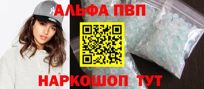 стафф Кингисепп
