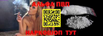 стафф Кингисепп