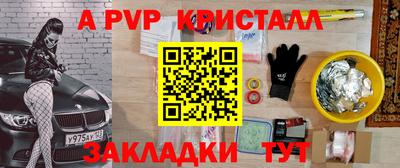 стафф Кингисепп