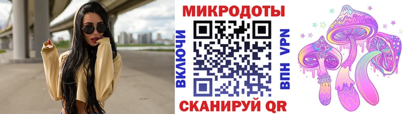 Псилоцибиновые грибы Psilocybine cubensis  Кингисепп 