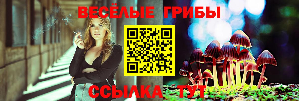 Галлюциногенные грибы мухоморы Кингисепп